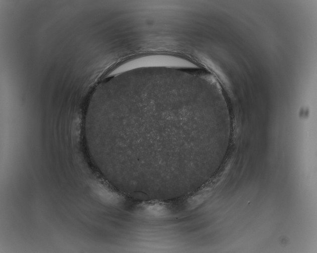 X0000091090113200708201506