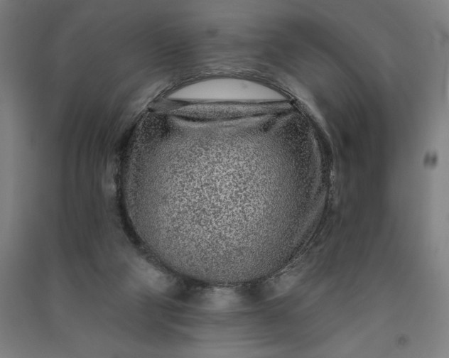 X0000091090114200708201506