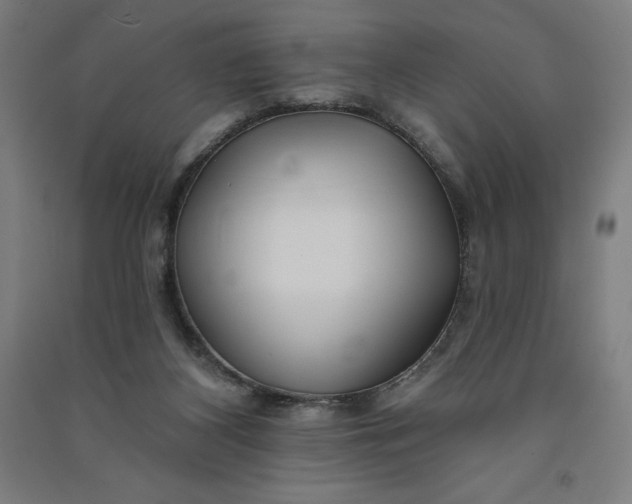 X0000091090116200708201506