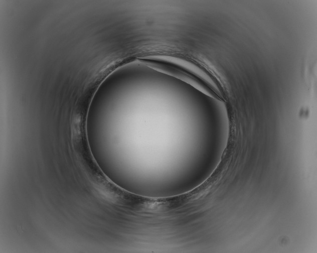 X0000091090117200708201506