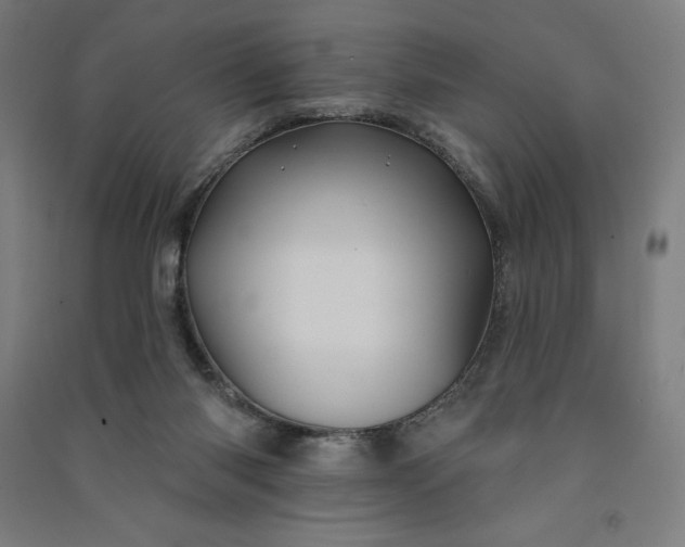 X0000091090118200708201506