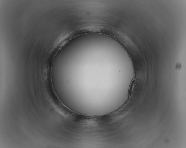 X0000091090120200708201506