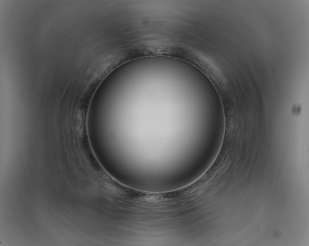 X0000091090121200708201506