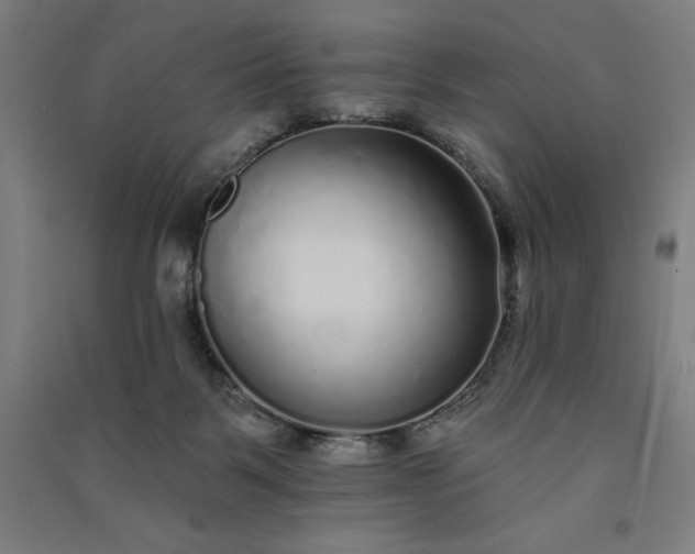 X0000091090123200708201506