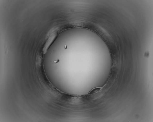 X0000091090124200708201506