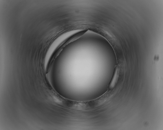 X0000091090125200708201506