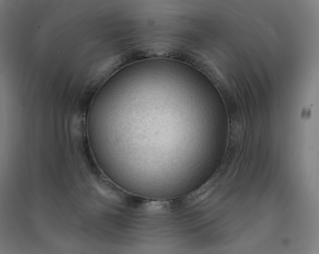 X0000091090126200708201506