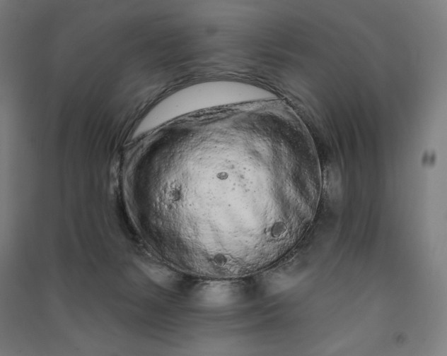 X0000091090127200708201506