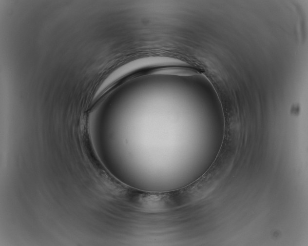 X0000091090129200708201506