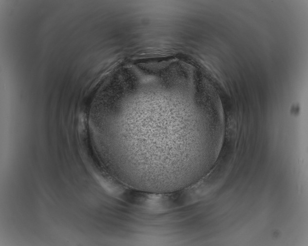 X0000091090130200708201506