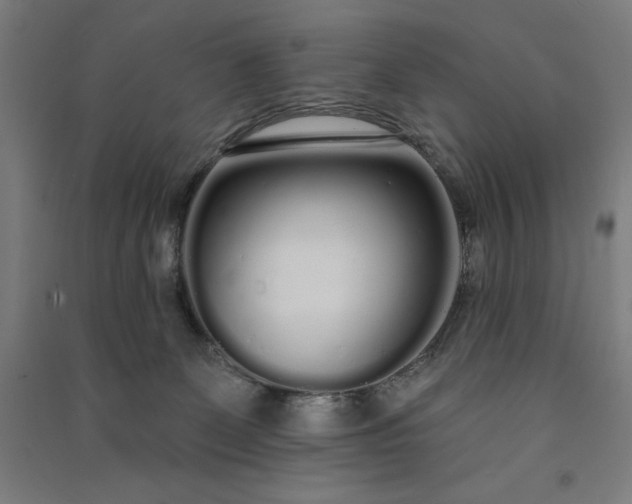 X0000091090131200708201506