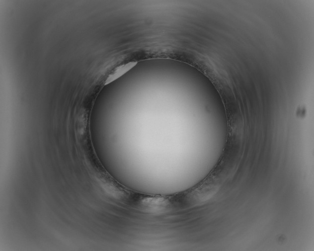 X0000091090133200708201506