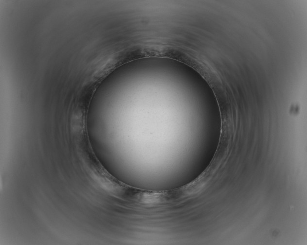 X0000091090134200708201506