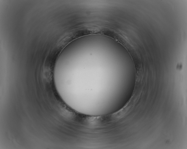 X0000091090136200708201506