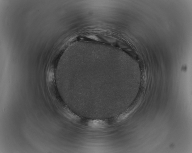 X0000091090137200708201506