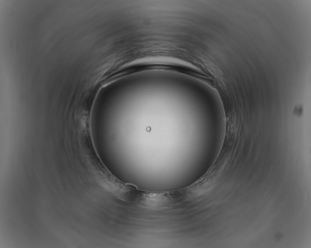 X0000091090141200708201506