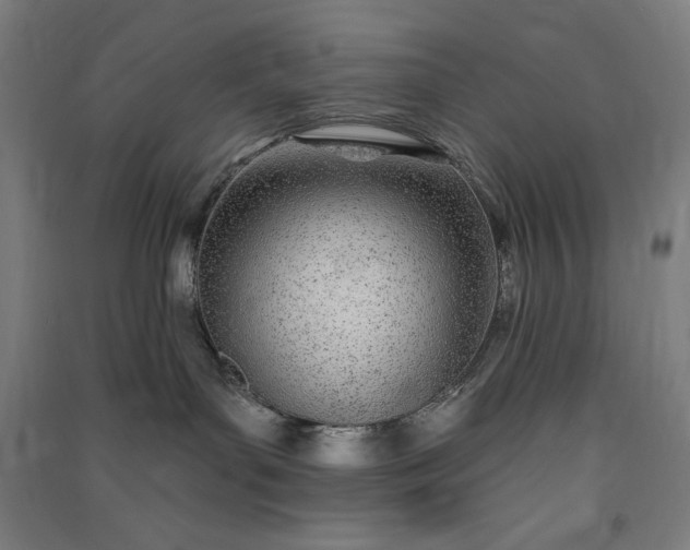 X0000091090143200708201506