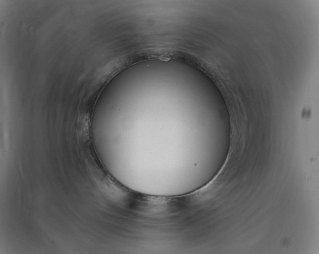 X0000091090144200708201506