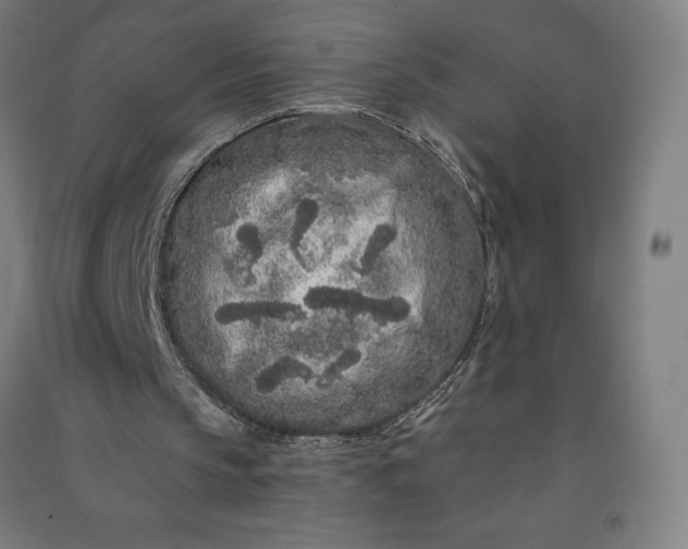 X0000091090145200708201505