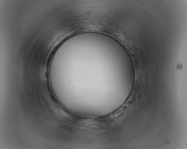 X0000091090146200708201505