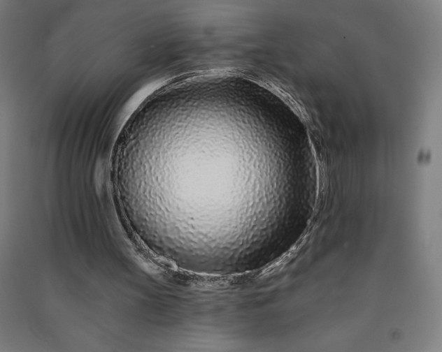 X0000091090147200708201505