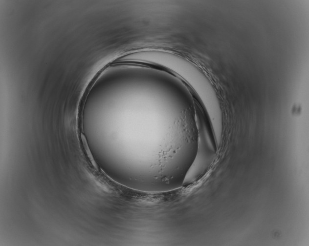 X0000091090148200708201505