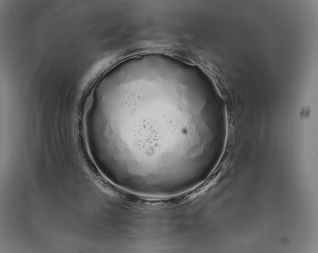 X0000091090149200708201505