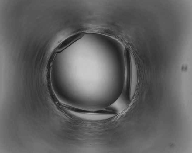 X0000091090150200708201505