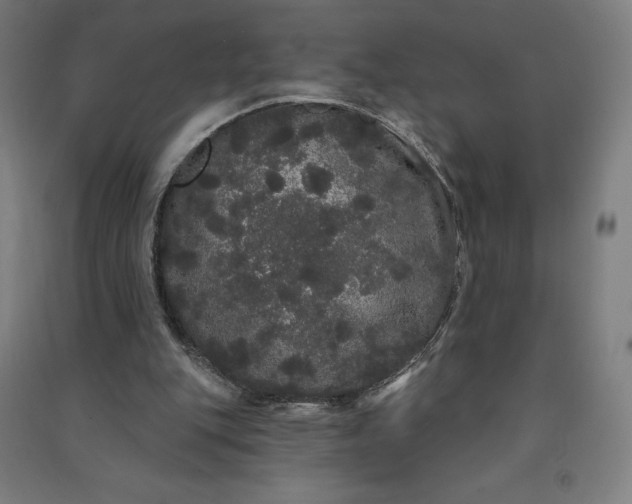 X0000091090151200708201505