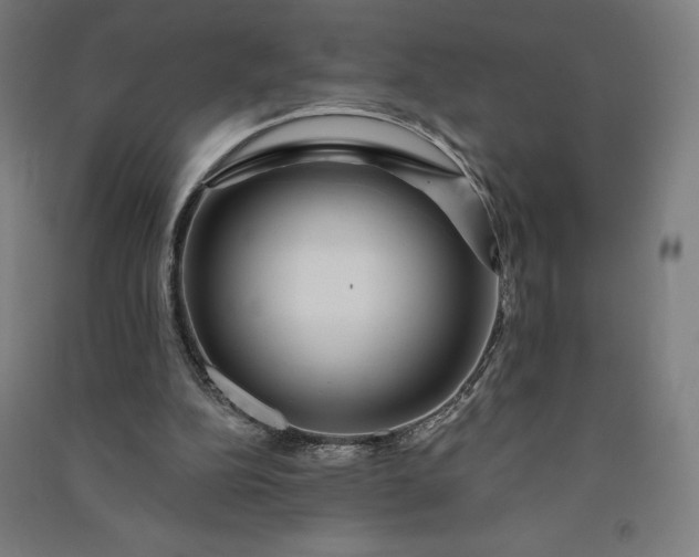 X0000091090152200708201505