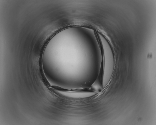 X0000091090154200708201505