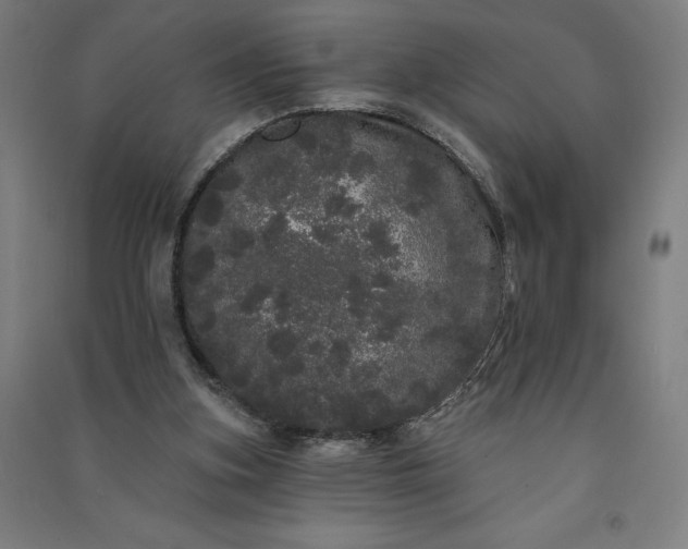 X0000091090155200708201505