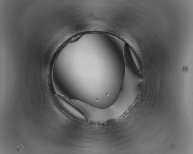 X0000091090156200708201505