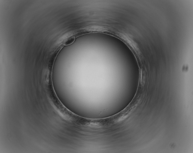 X0000091090157200708201505