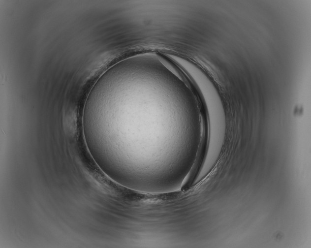 X0000091090158200708201505