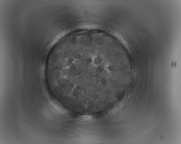 X0000091090159200708201505