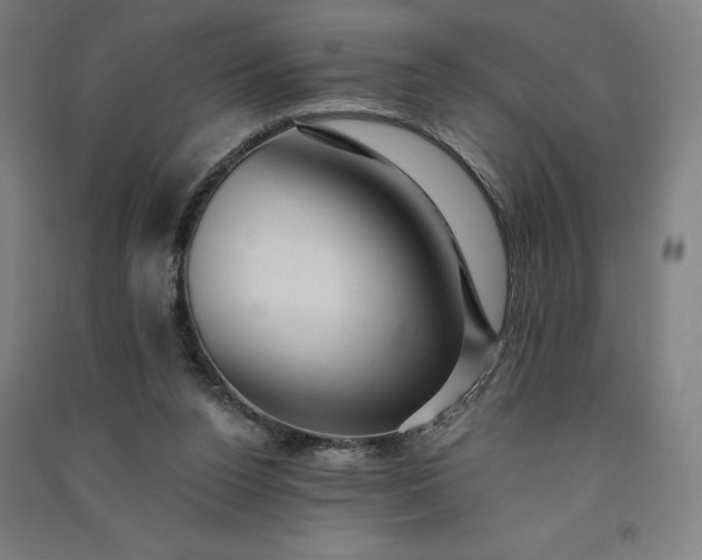 X0000091090160200708201505