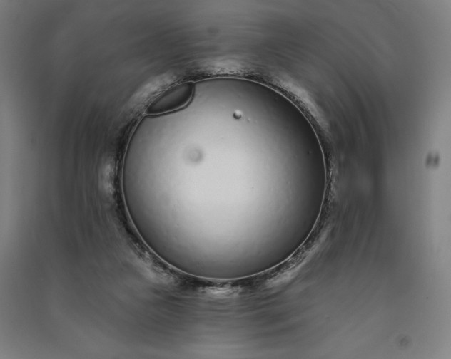 X0000091090161200708201505