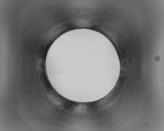 X0000091090162200708201505