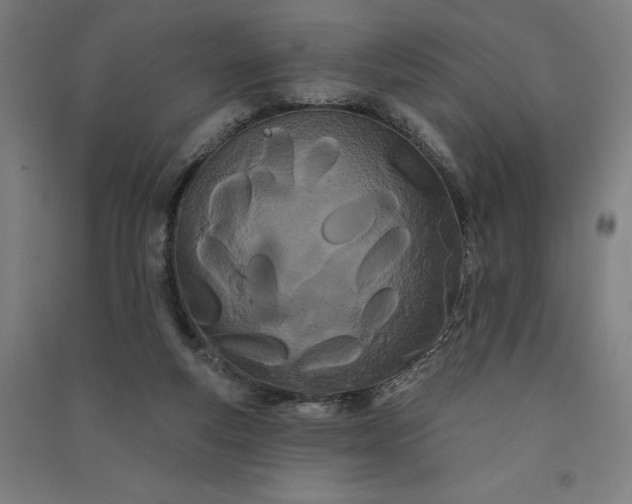 X0000091090163200708201505