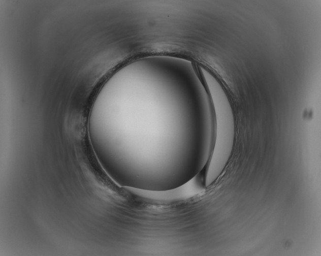 X0000091090164200708201505