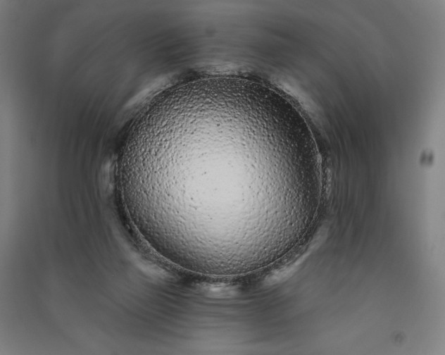 X0000091090165200708201505