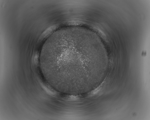 X0000091090166200708201506