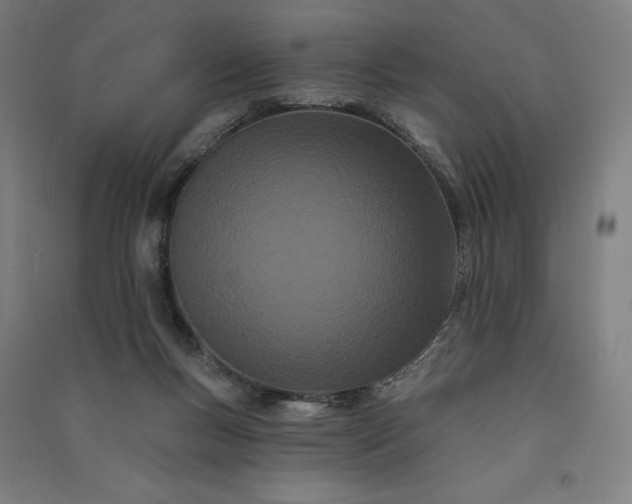 X0000091090167200708201506