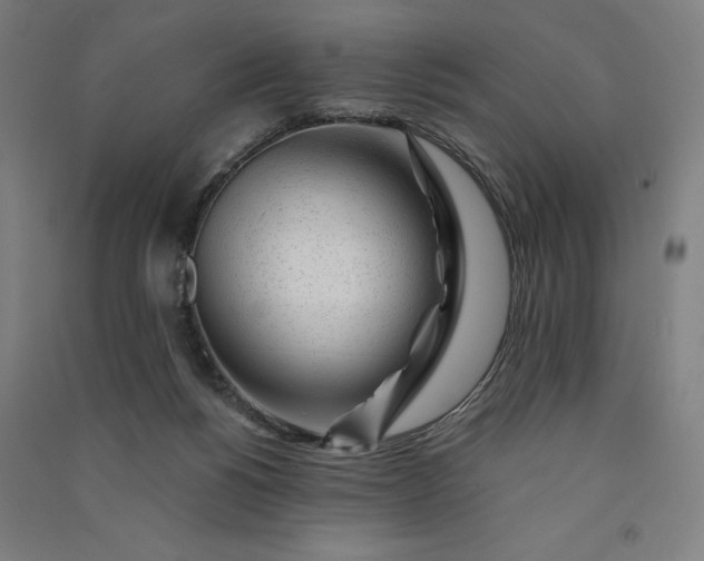 X0000091090168200708201506