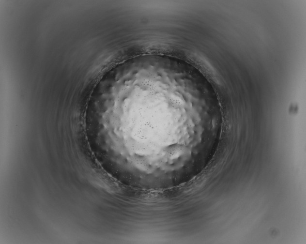 X0000091090169200708201506