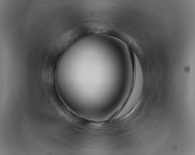 X0000091090170200708201506