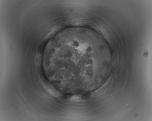 X0000091090171200708201506