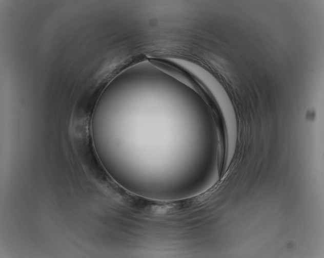 X0000091090172200708201506