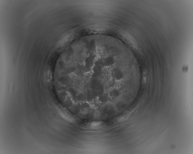 X0000091090173200708201506